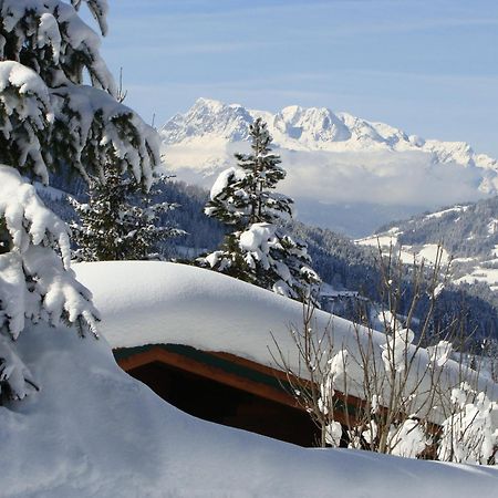Chalets Ebner Eben Im Pongau Εξωτερικό φωτογραφία