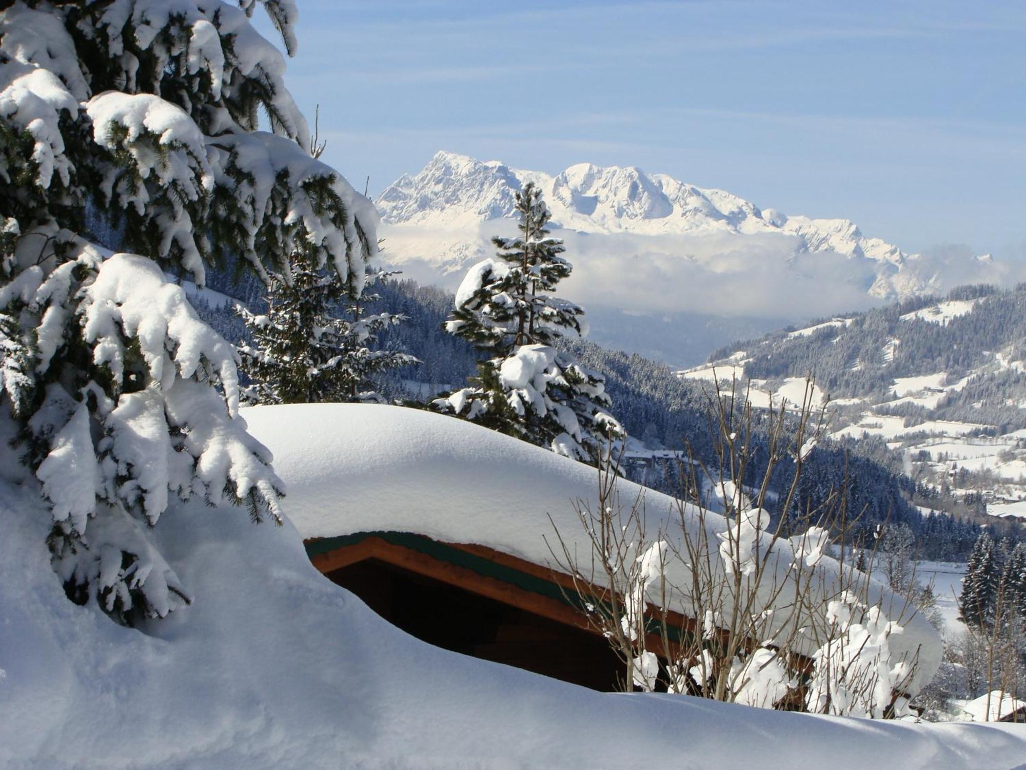 Chalets Ebner Eben Im Pongau Εξωτερικό φωτογραφία
